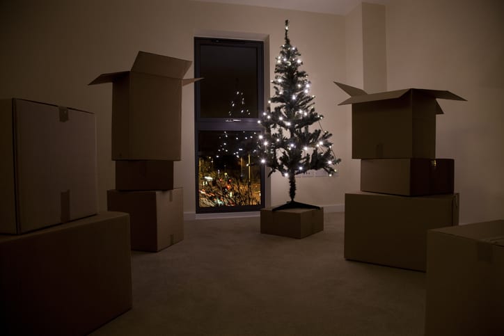 Smooth Move Moving Services in South Carolina | still life of christmas tree and moving boxes