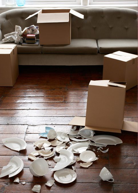 Smooth Move Moving Services in South Carolina | broken crockery next to cardboard box