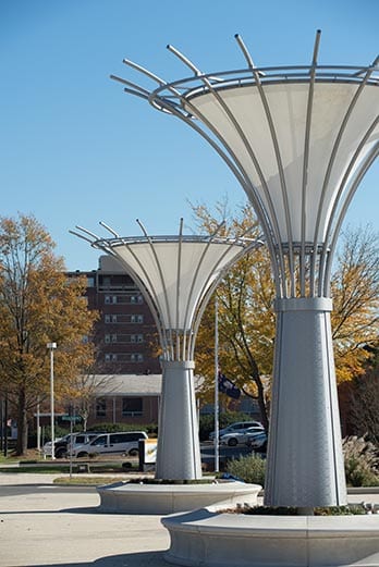 rock hill south carolina downtown during christmas season