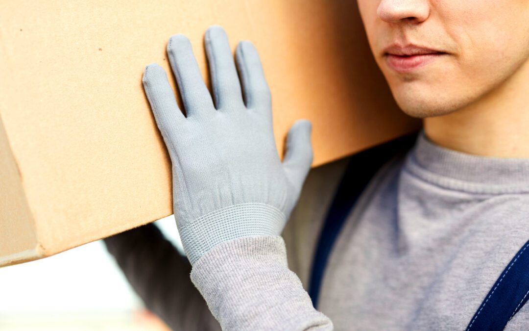 Smooth Move Moving Services in South Carolina | mover carrying box